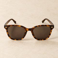 Contemporary tortoiseshell sunglasses